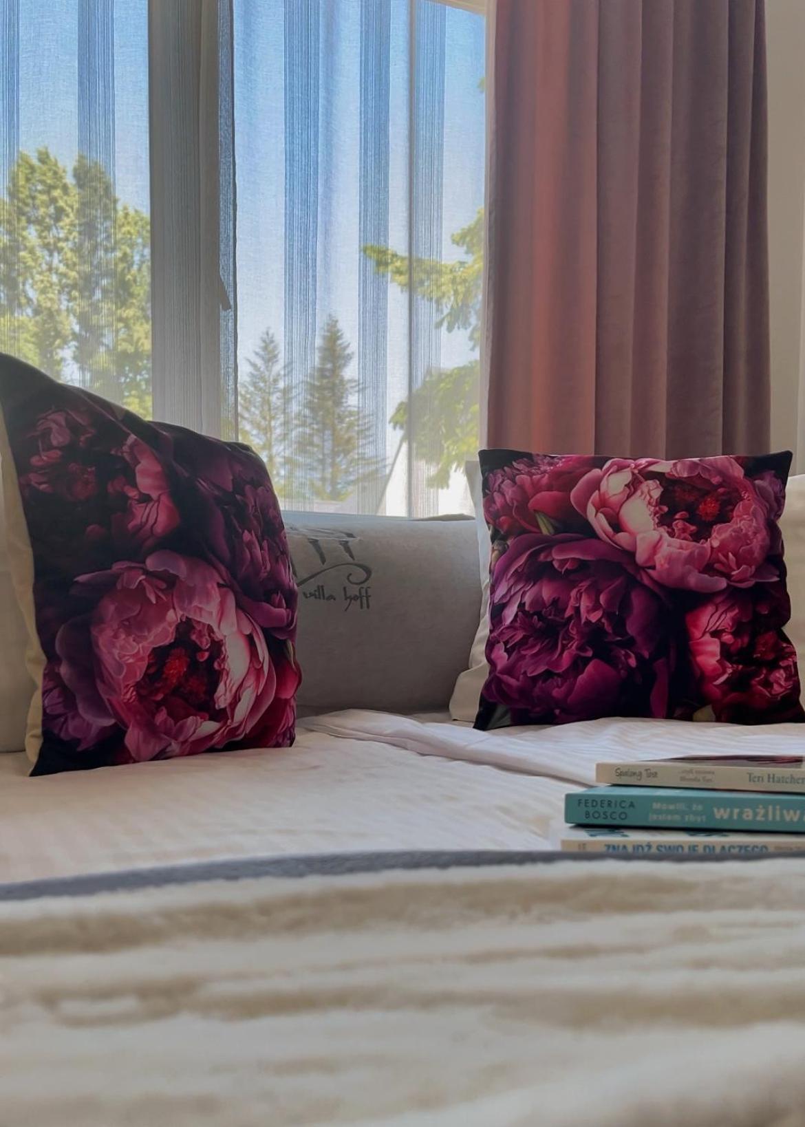 Villa Hoff Wellness & Spa トシェンサチ エクステリア 写真