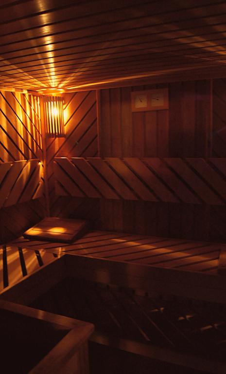 Villa Hoff Wellness & Spa トシェンサチ エクステリア 写真